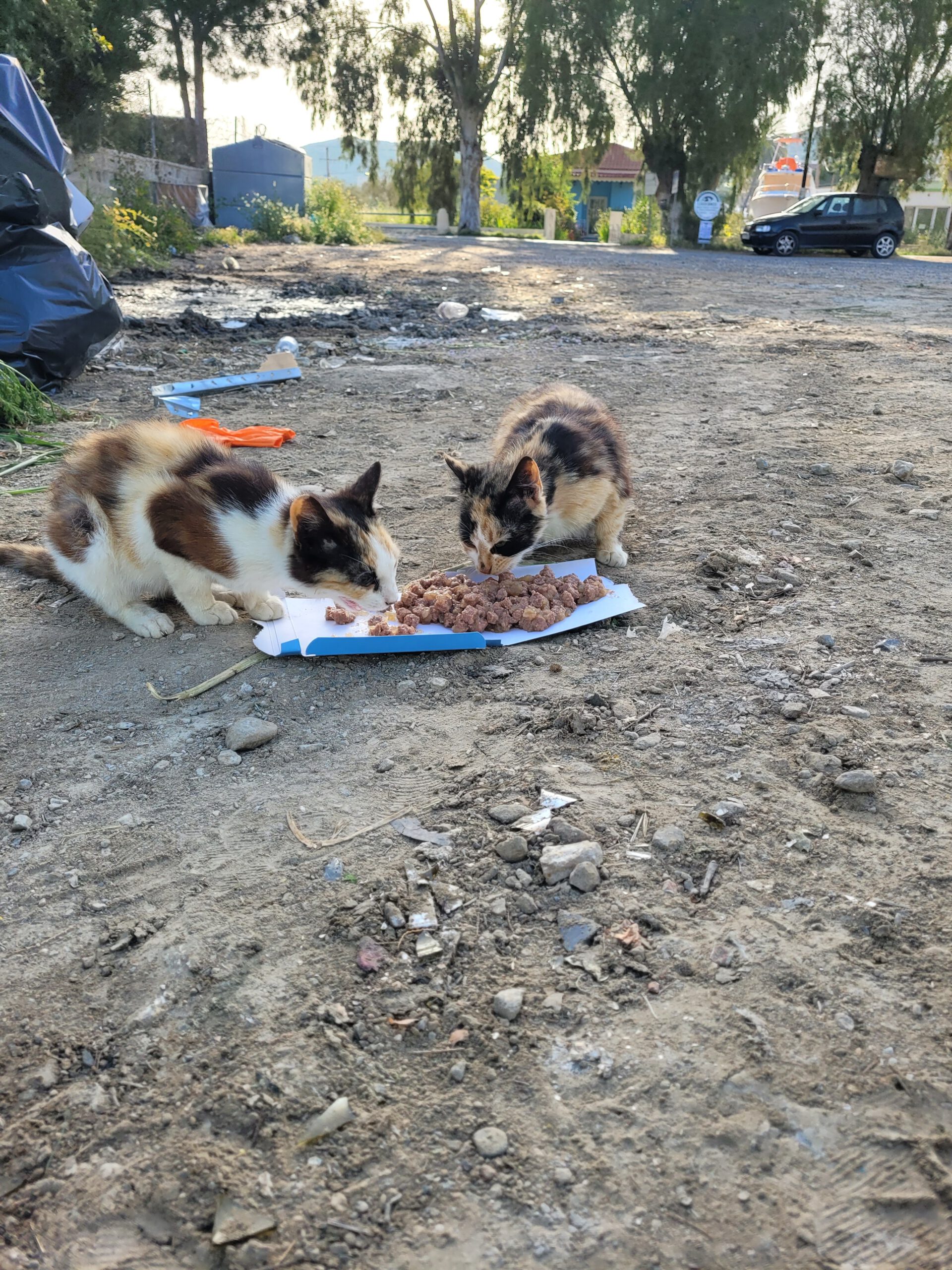 20250416_082505_Original