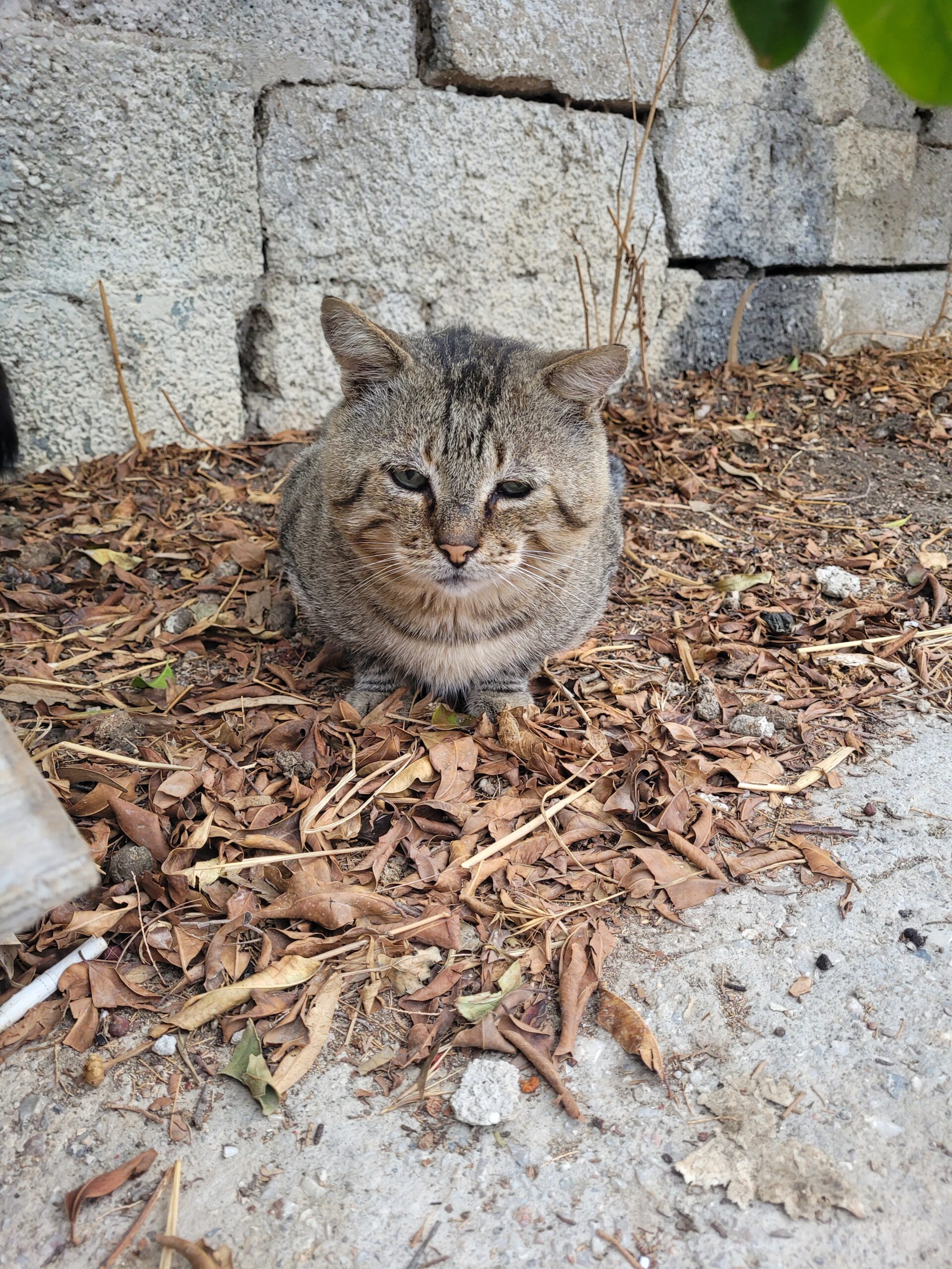 20251007_083635_Original