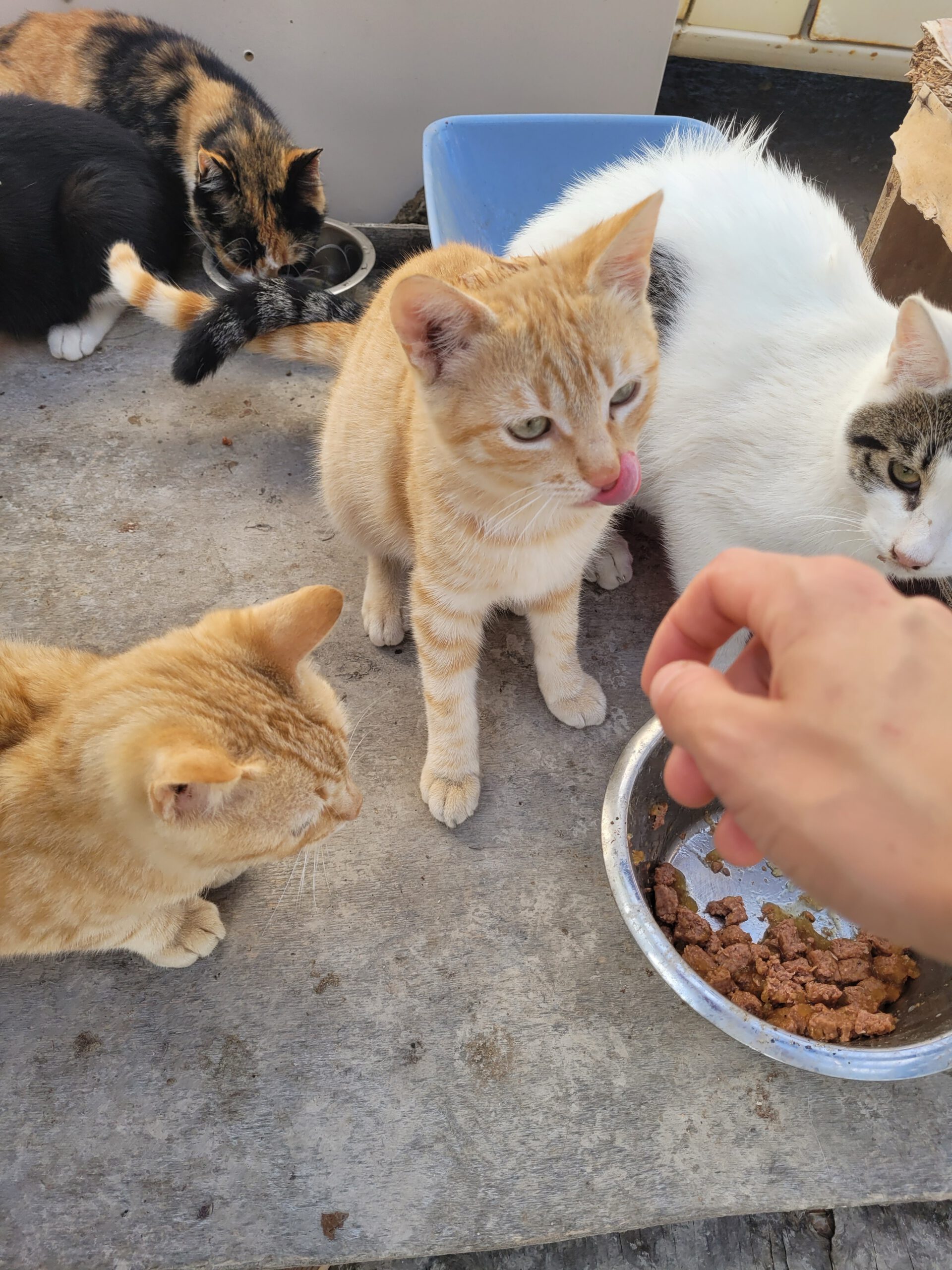 20251023_120314_Original