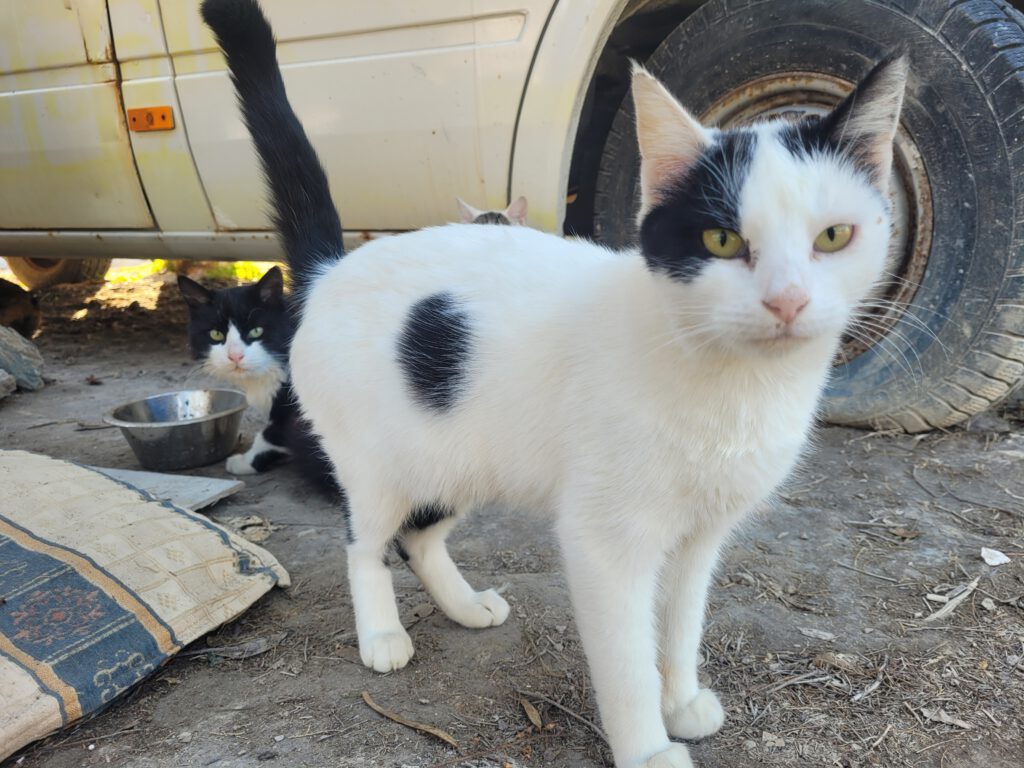 20251103_154619_Original