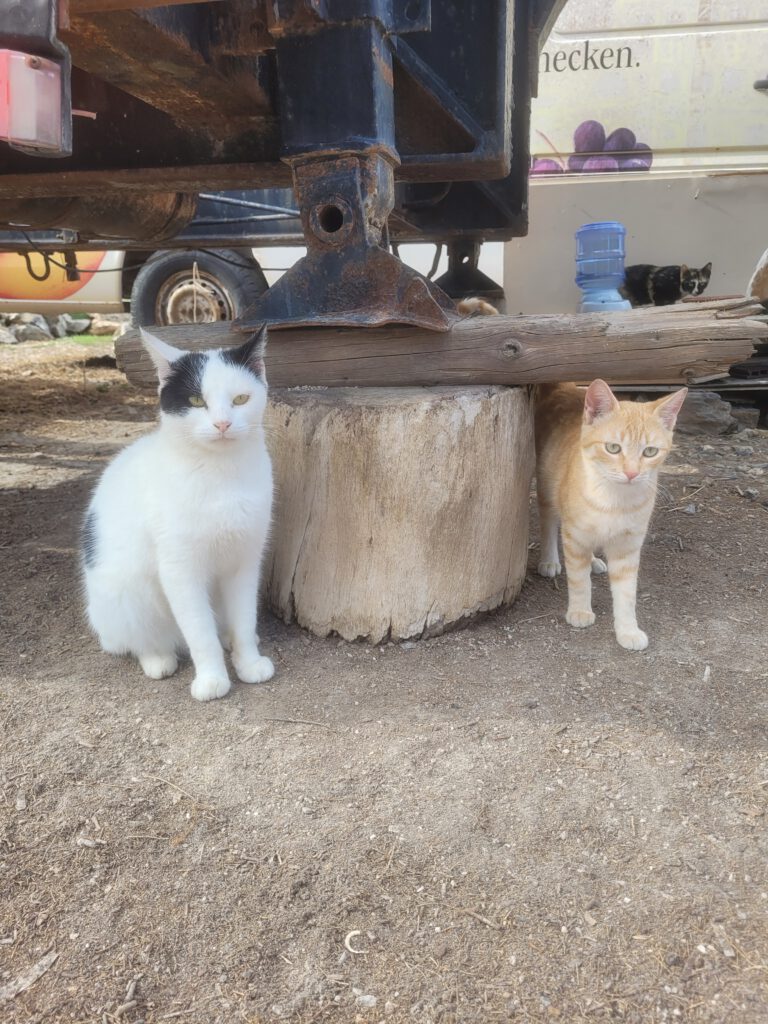 20251108_120655_Original