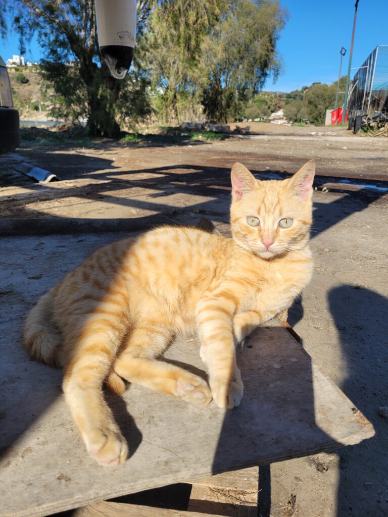 20251202_114116_Original