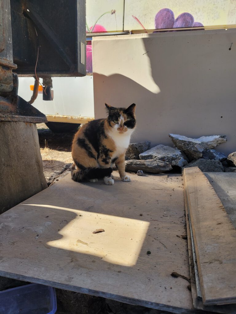 20251202_114126_Original