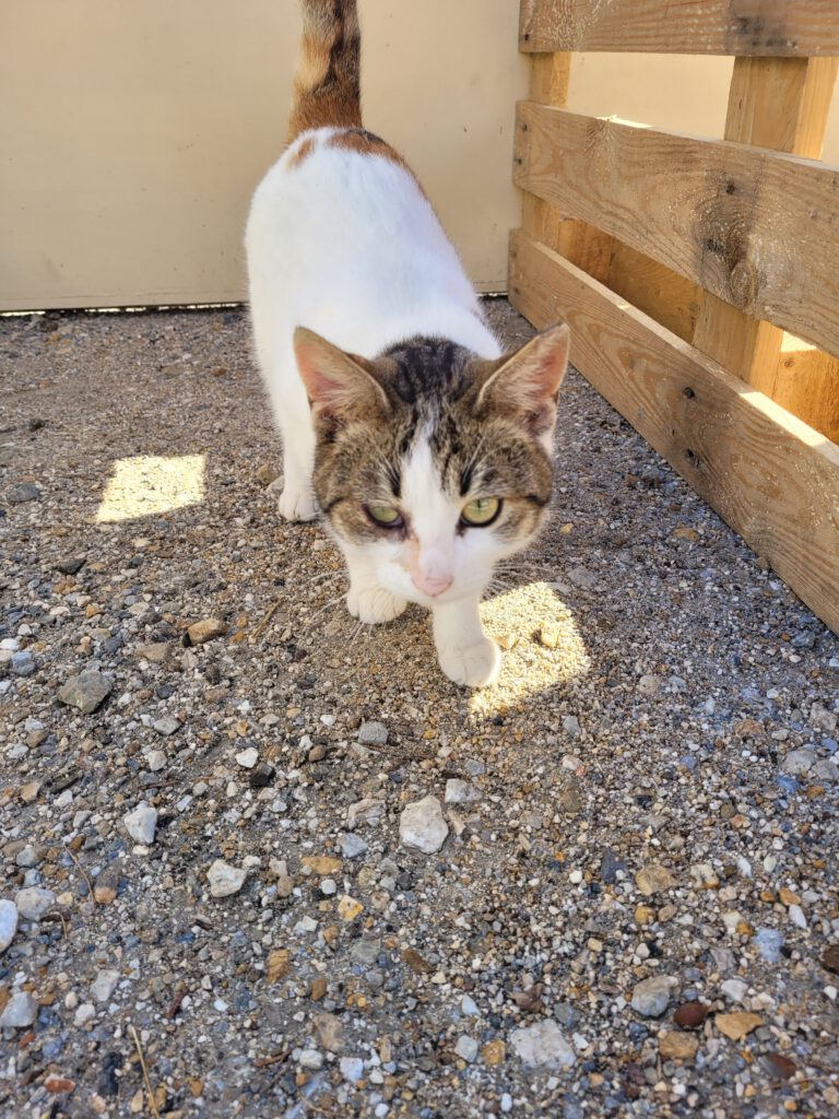 20251202_114137_Original